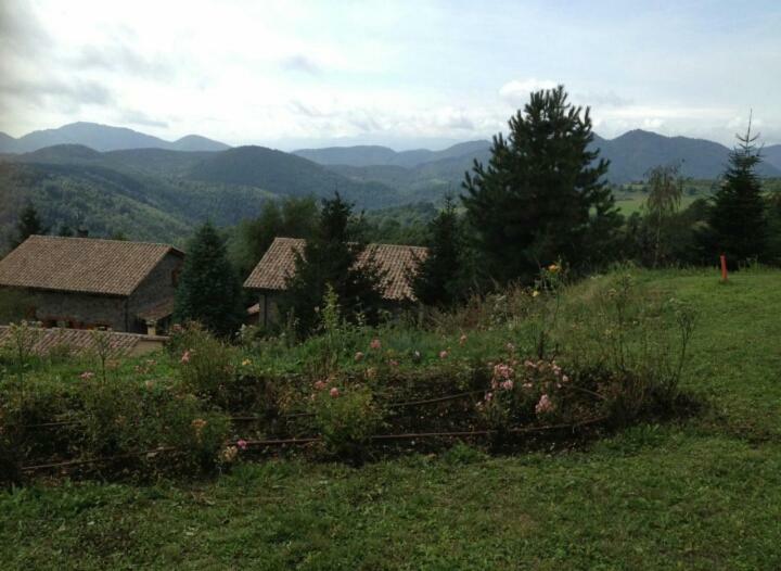 Casa Rural Mollo, Vall De Camprodon Εξωτερικό φωτογραφία