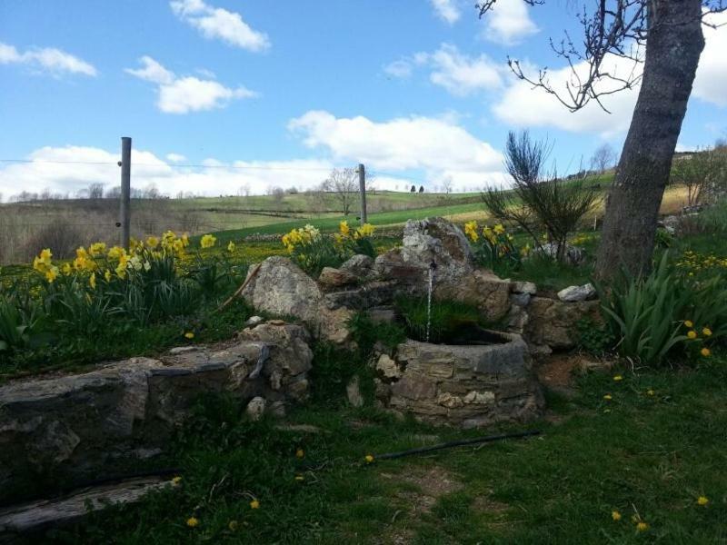 Casa Rural Mollo, Vall De Camprodon Εξωτερικό φωτογραφία