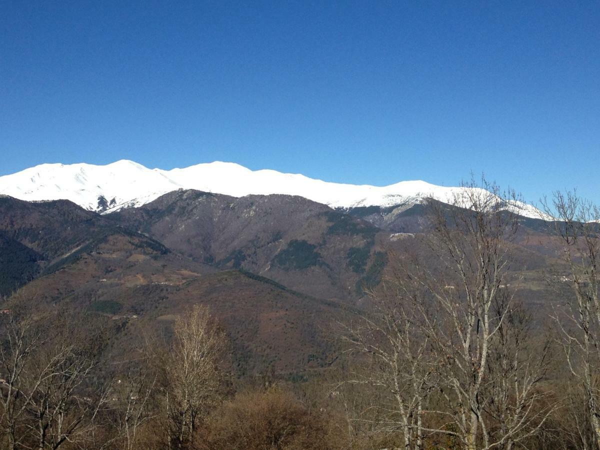 Casa Rural Mollo, Vall De Camprodon Εξωτερικό φωτογραφία