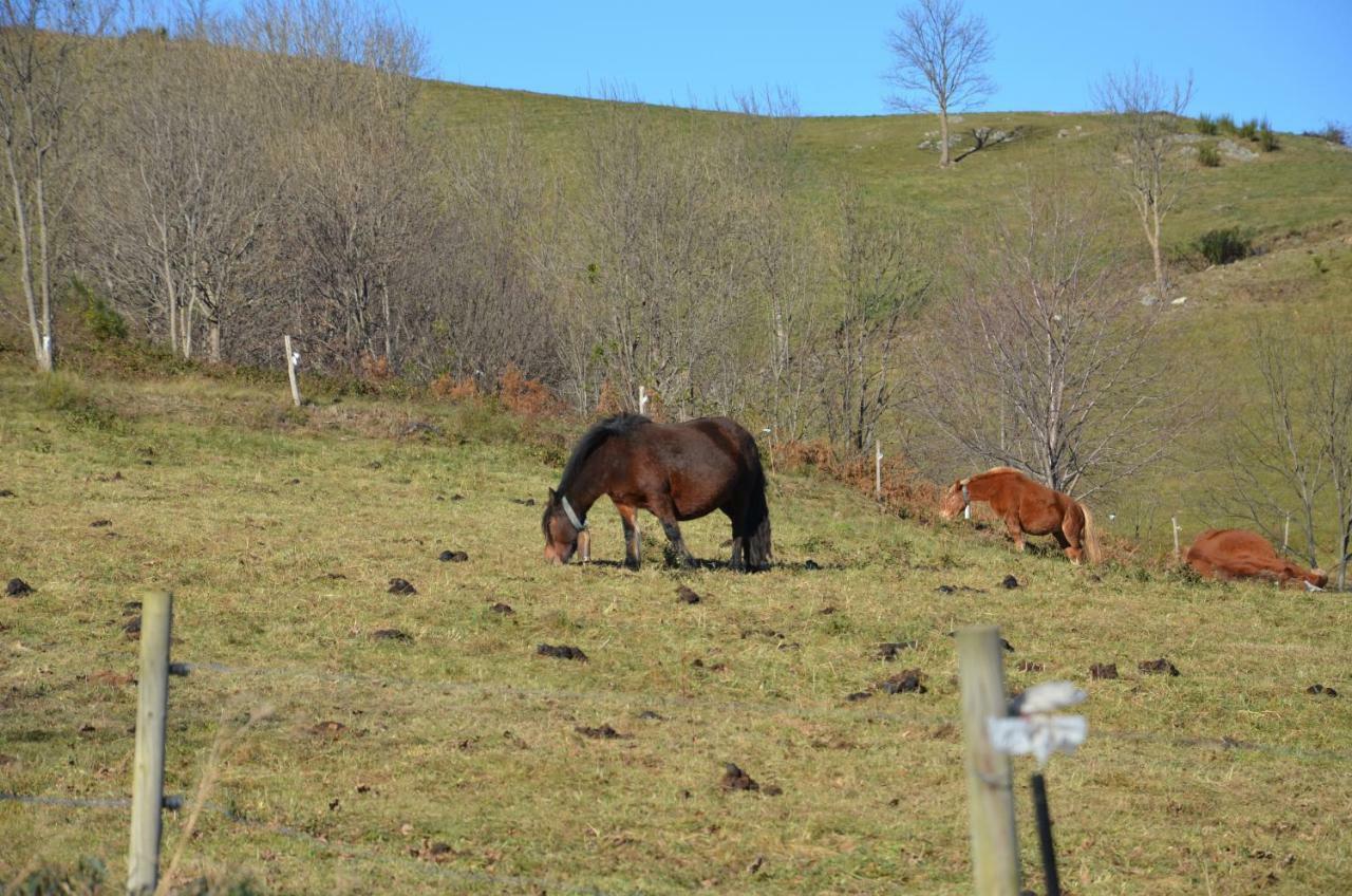 Casa Rural Mollo, Vall De Camprodon Εξωτερικό φωτογραφία